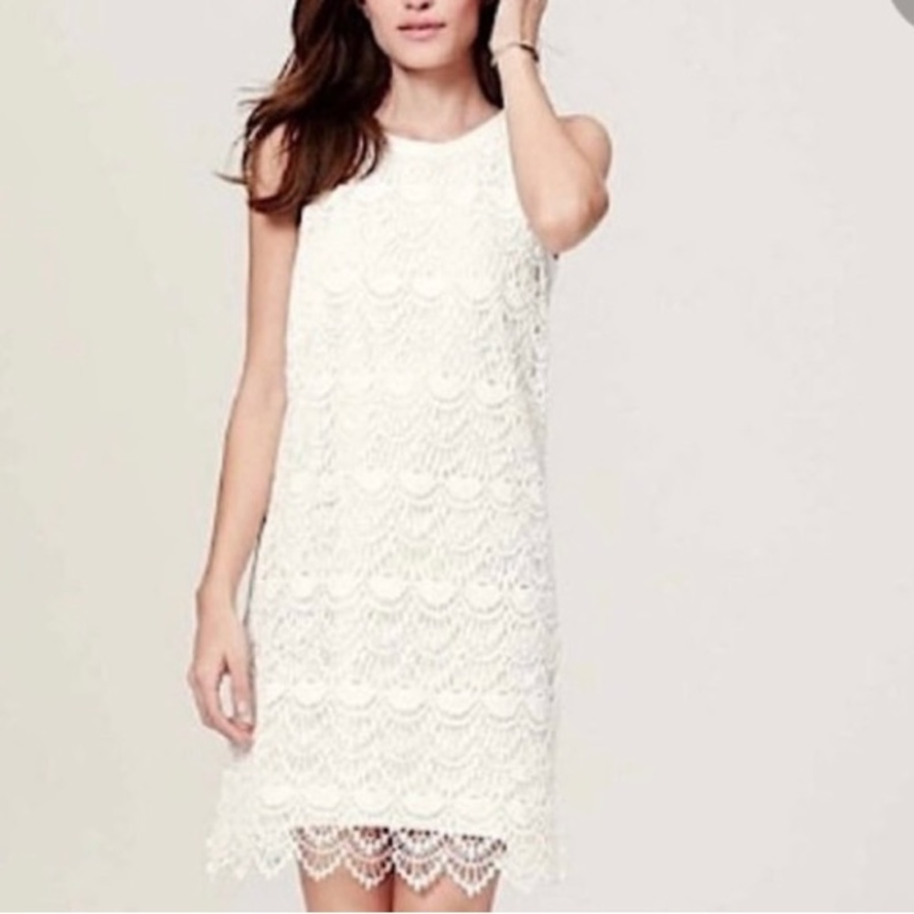 Gorgeous Loft Ivory Cotton Crochet Overlay Design Summer Dress Size 14